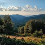 Tesak-cernava Chvalcov