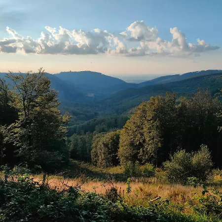 Tesak-cernava Chvalčov