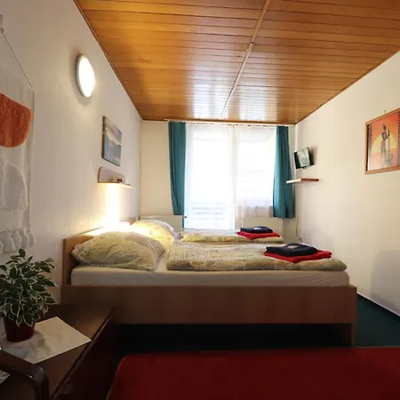 Tesák-čerňava Chvalčov