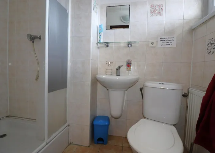 Tesak-cernava ゲストハウス *